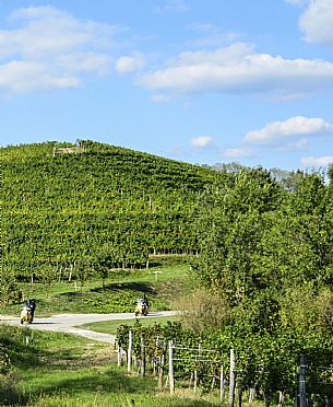 Collio in Vespa